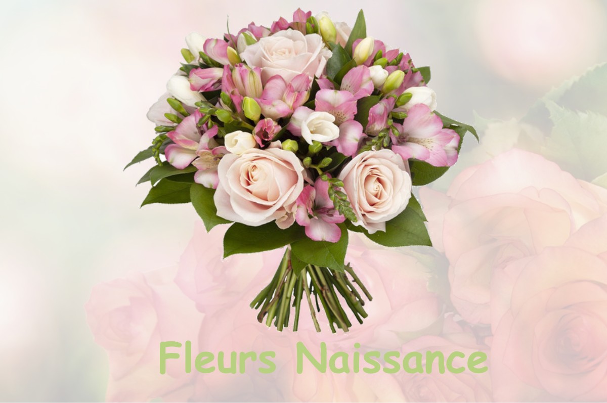 fleurs naissance VANVES