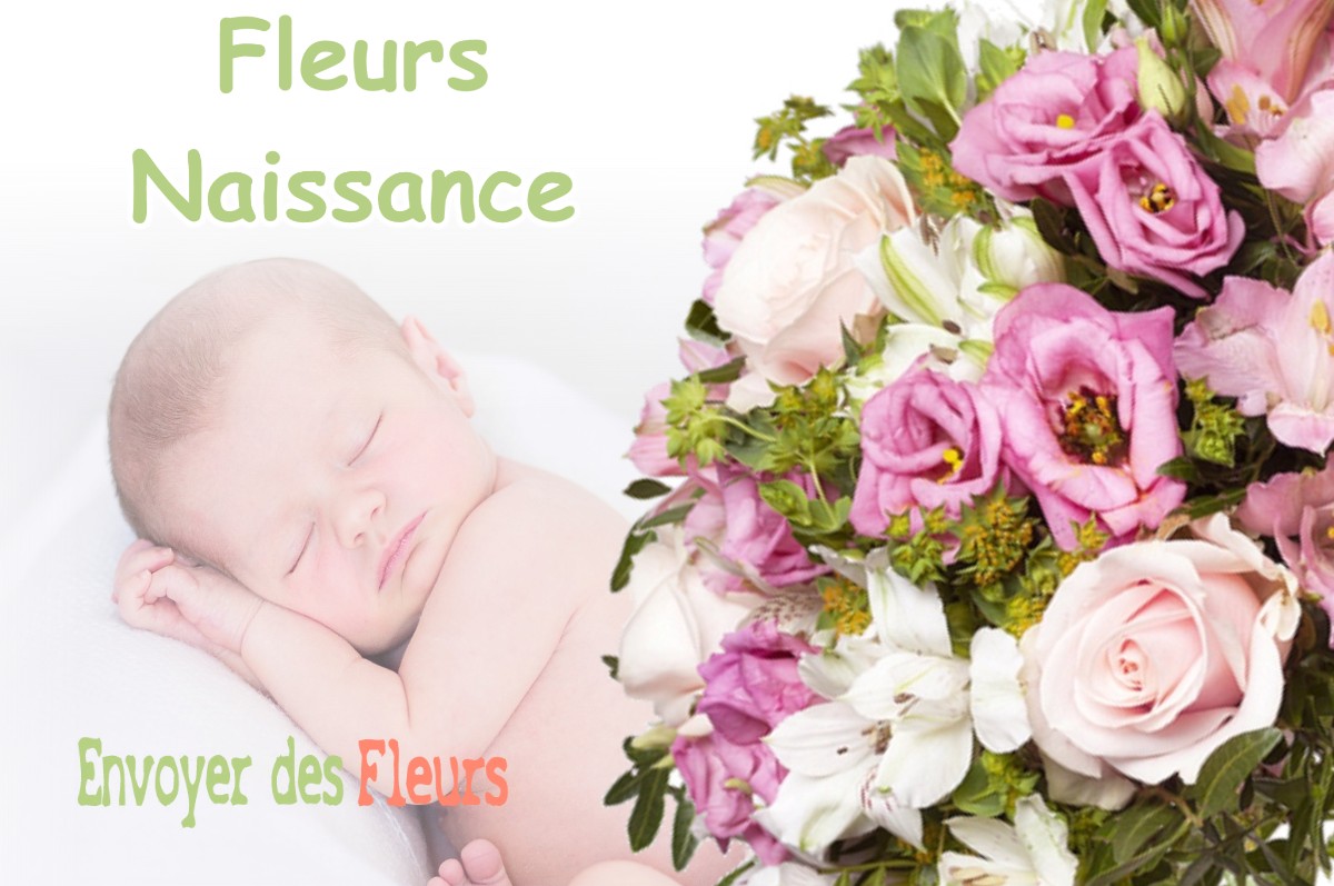 lIVRAISON FLEURS NAISSANCE à VANVES